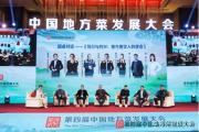 开云体育-河南建业主场困扰获解，实现连续两场赢得胜利